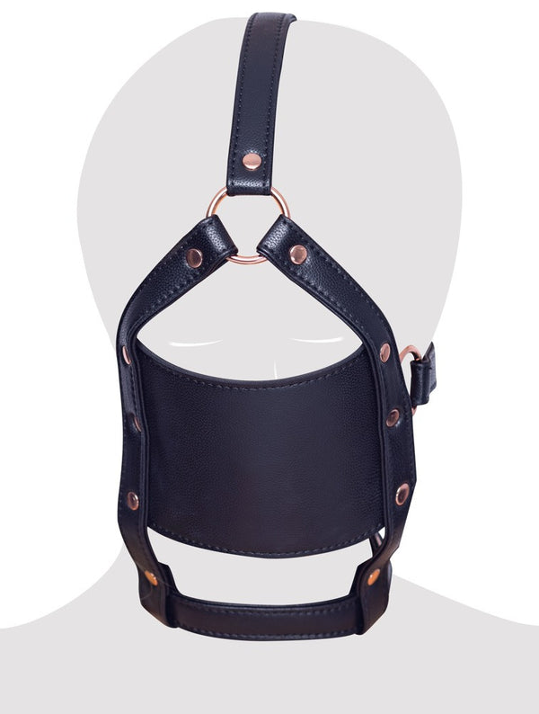 Imbracatura per il viso head harness with a gag